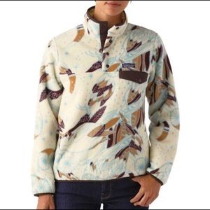 Rare Patagonia Synchilla Snap Pullover